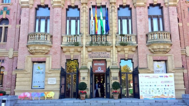 V Congreso ANAVEPOR (Córdoba, 2016) · fotografía 1