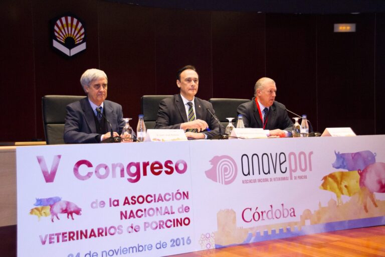V Congreso ANAVEPOR (Córdoba, 2016) · fotografía 10