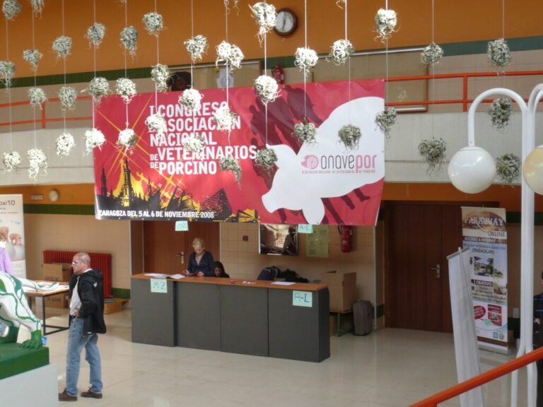 J. Satelite. Hall · I Congreso ANAVEPOR (Zaragoza, 2008)