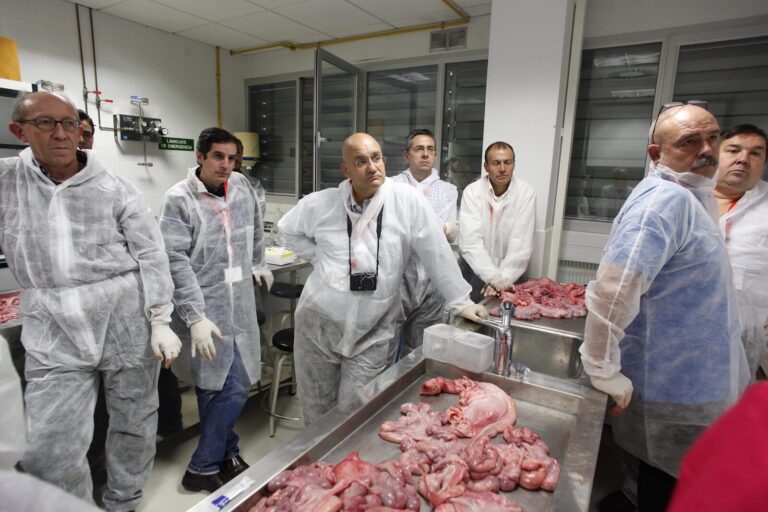 TALLER REPRODUCCION · III Congreso ANAVEPOR (Zaragoza, 2012)