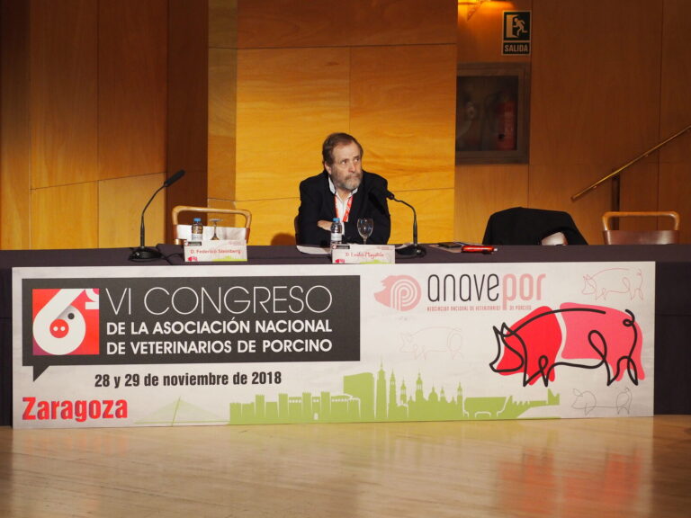 VI Congreso ANAVEPOR (Zaragoza, 2018) · fotografía 3