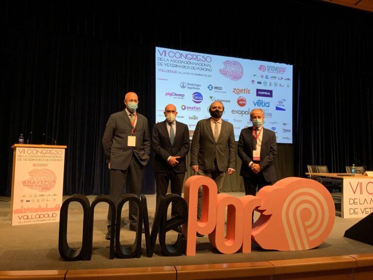 VII Congreso ANAVEPOR (Valladolid, 2021) · fotografía 3