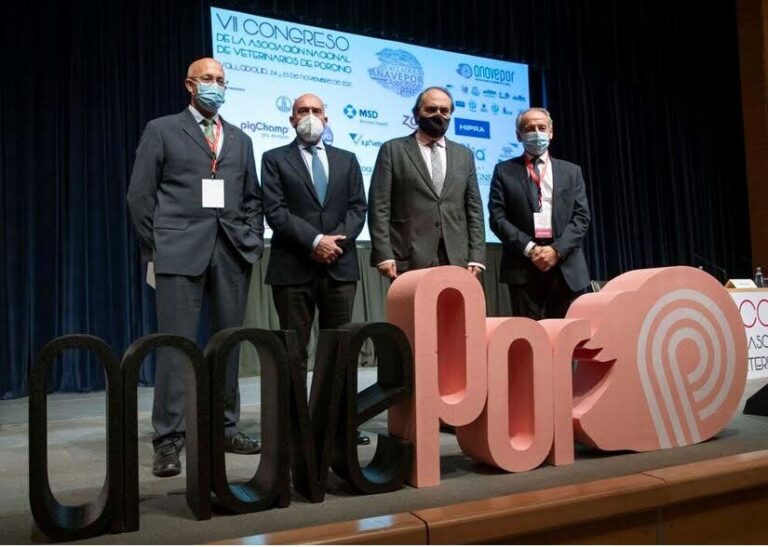 VII Congreso ANAVEPOR (Valladolid, 2021) · fotografía 11