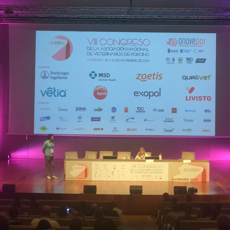 VIII Congreso ANAVEPOR (A Coruña, 2023) · fotografía 2