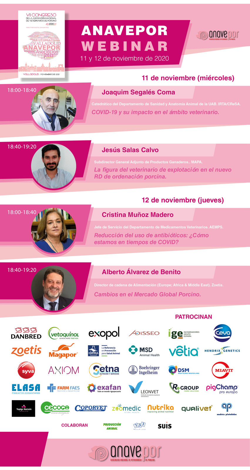 Cartel del Webinar ANAVEPOR 2020