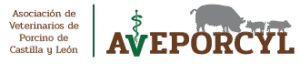 Logo de AVEPORCYL